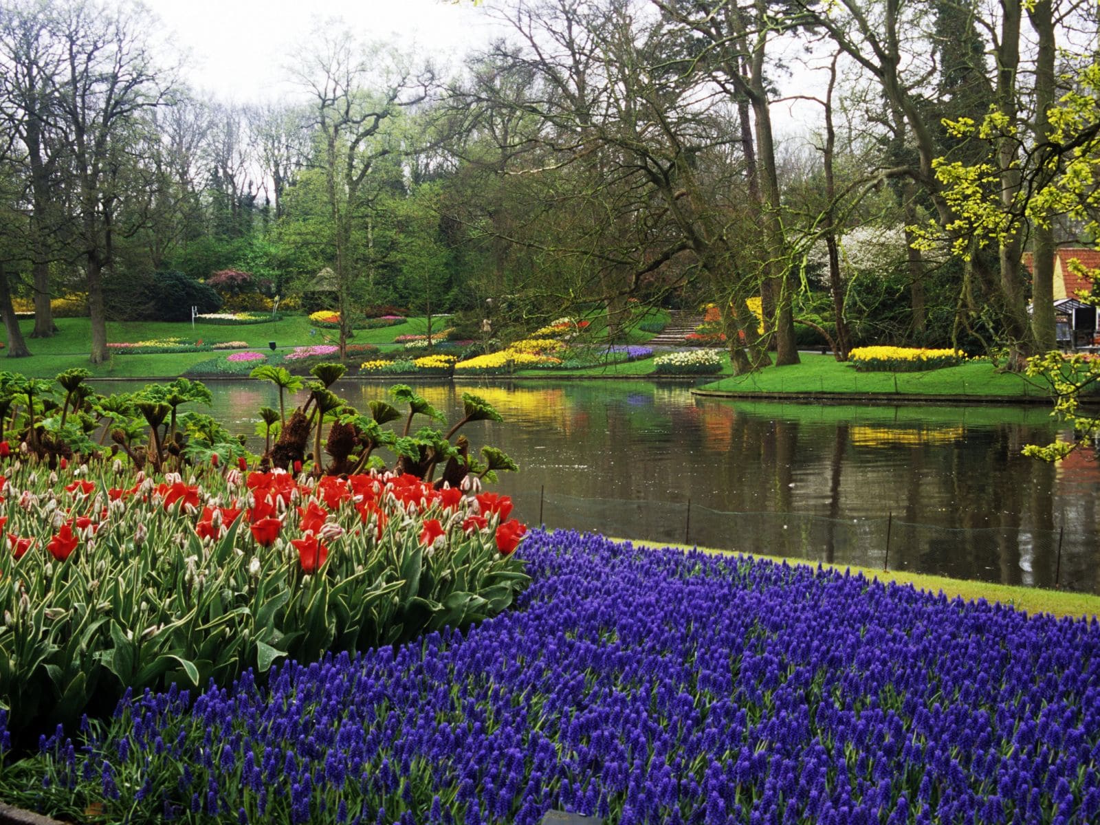 Cosa Vedere nei Dintorni di Amsterdam Top 10 Città Vicino